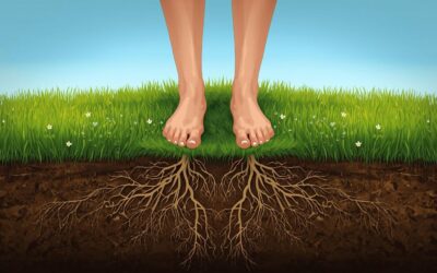 Actief wortelen: de basis voor een veerkrachtige samenleving
