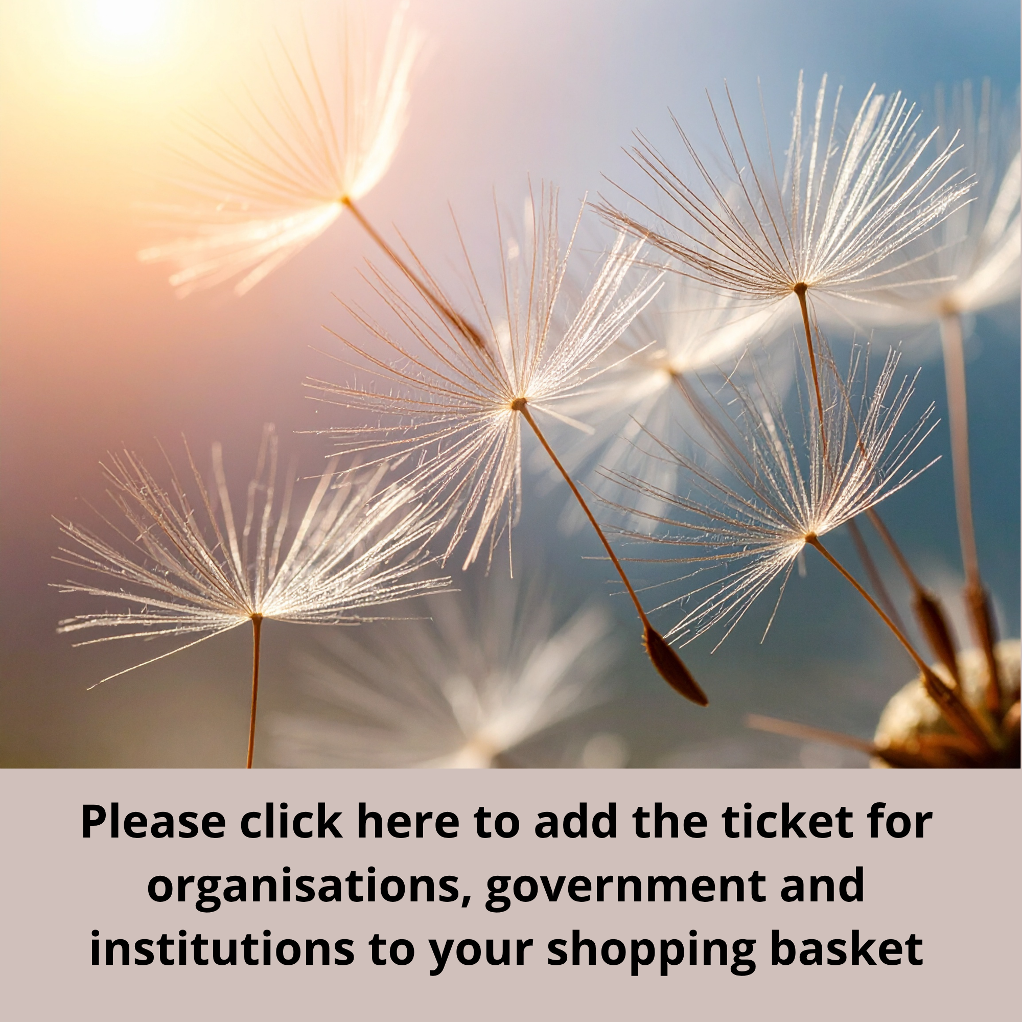 Ticket Bioregional Activation Day North Sea Delta (org)