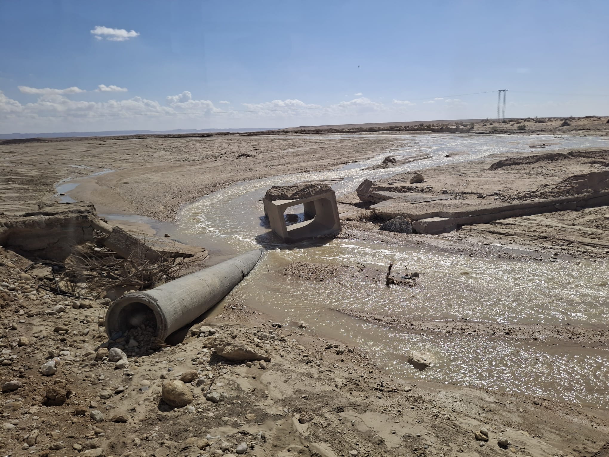 Gif in de rivier