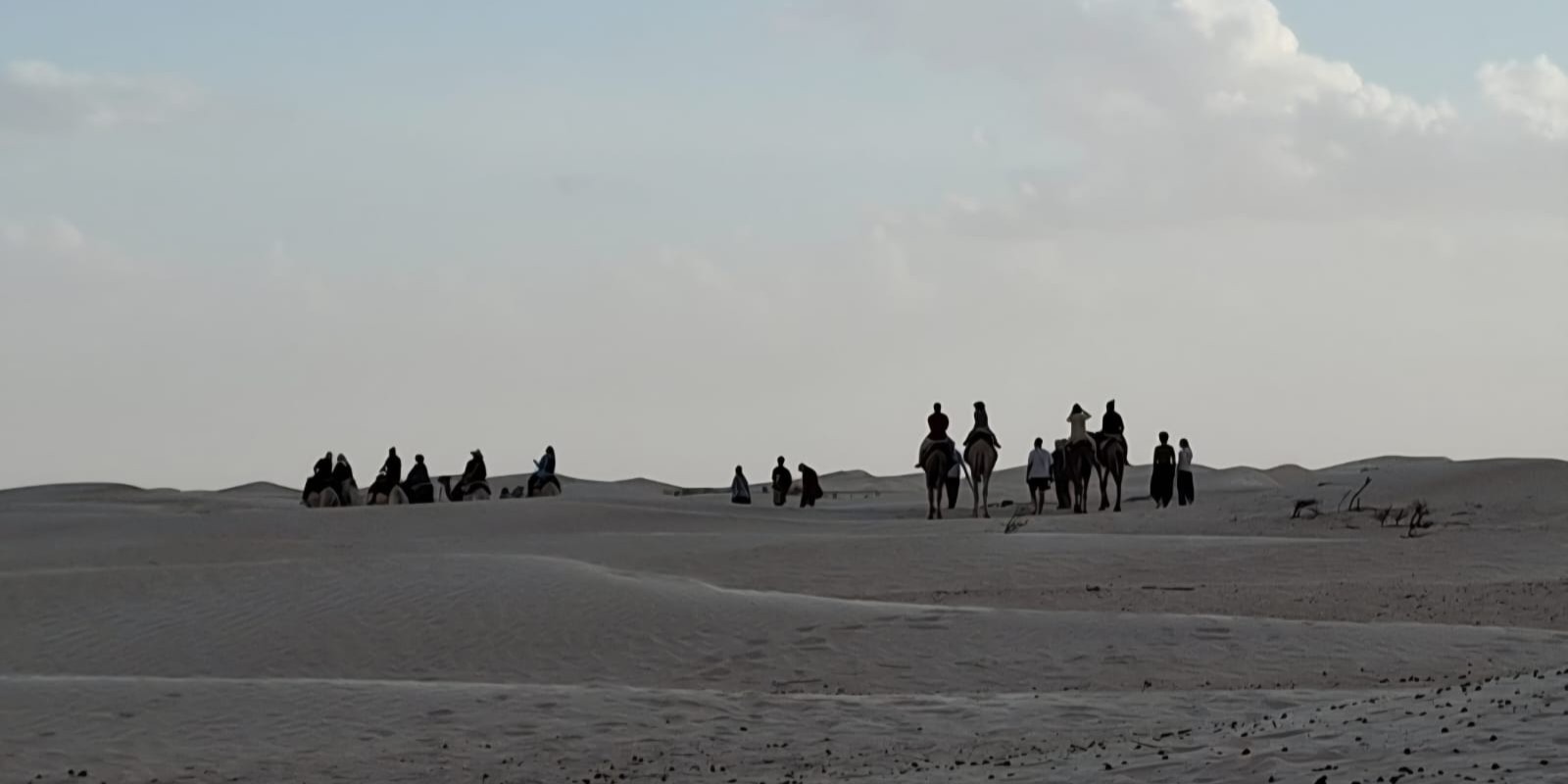 Karavaan
