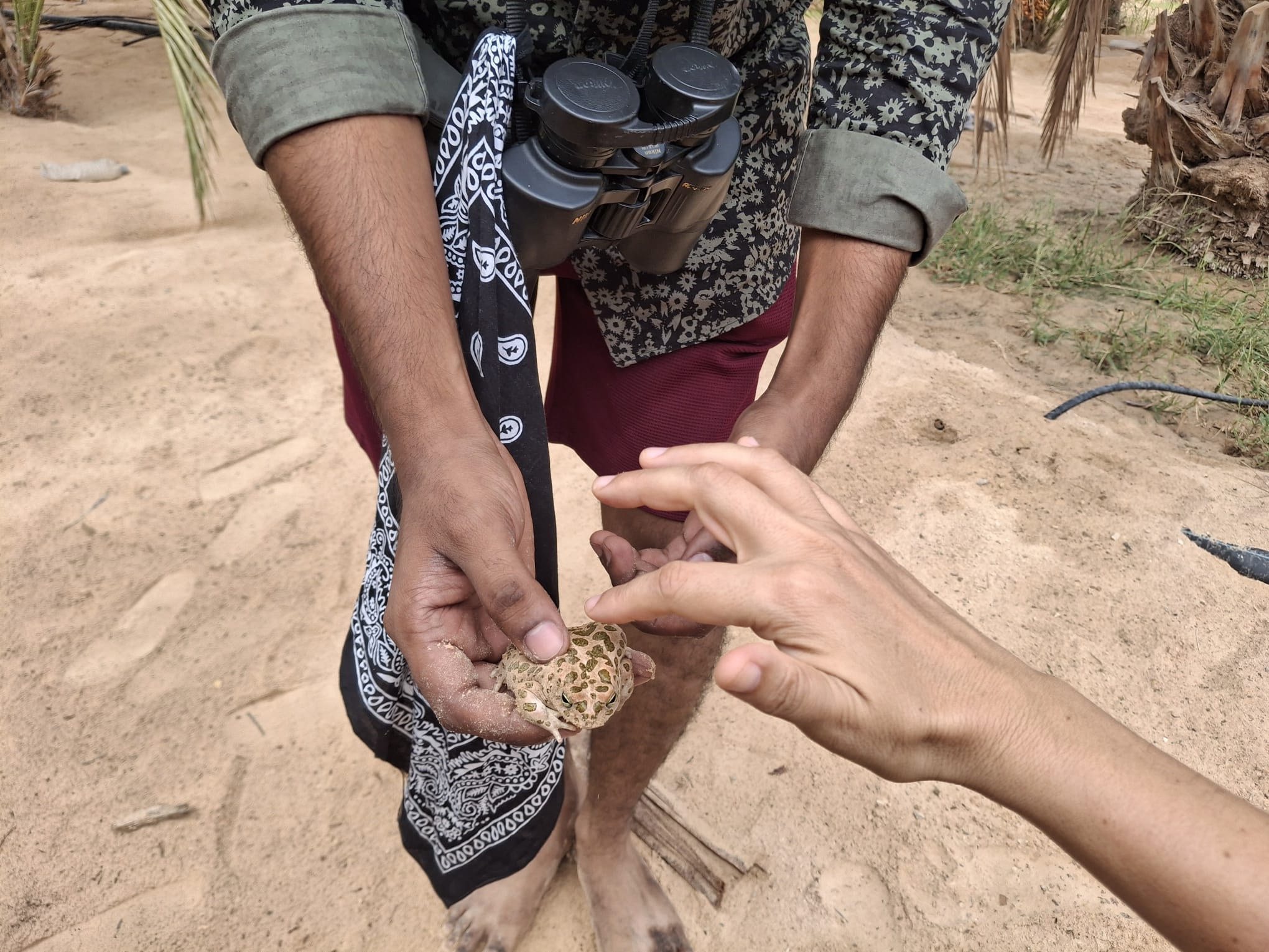 Prajjwal laat reptiel zien